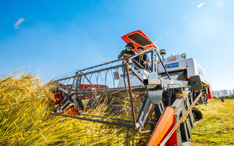 上海农林职业技术学院