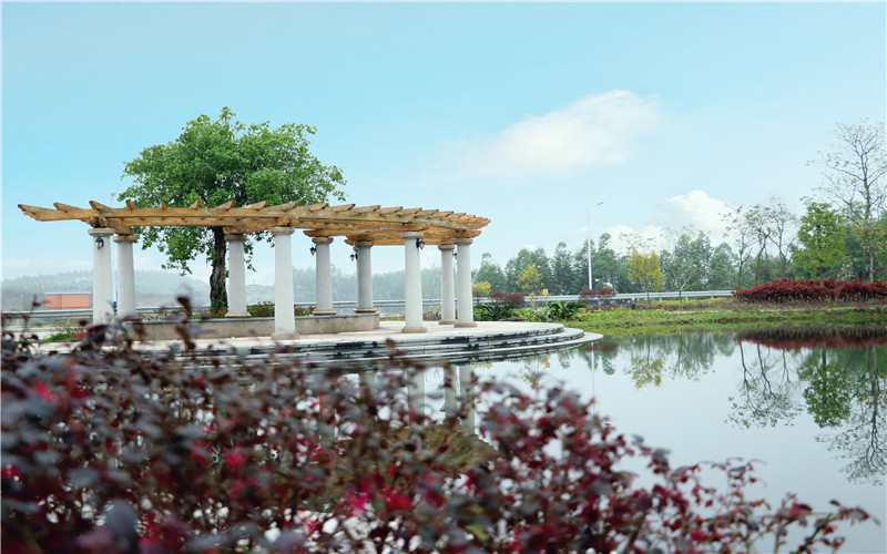 广西交通职业技术学院