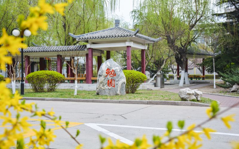 天津职业技术师范大学