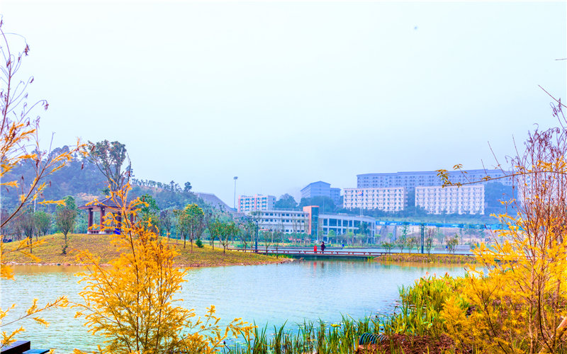 重庆财经职业学院