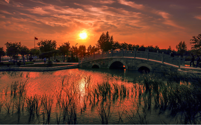 安阳职业技术学院