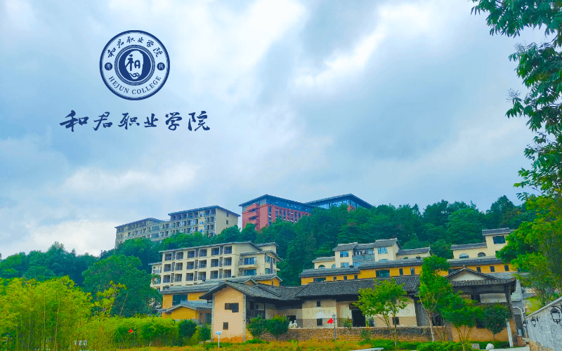 和君职业学院