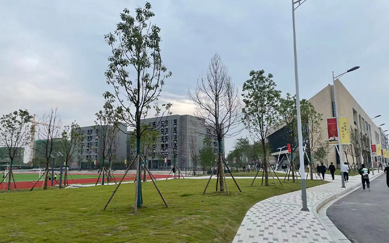 长江艺术工程职业学院