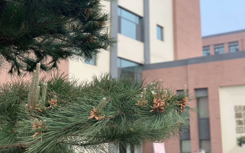 滨州科技职业学院