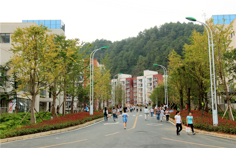 黔南民族医学高等专科学校