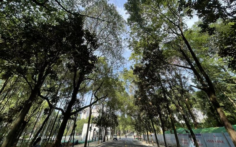 益阳师范高等专科学校