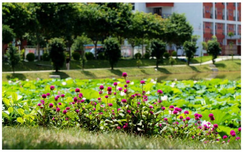 广州工程技术职业学院