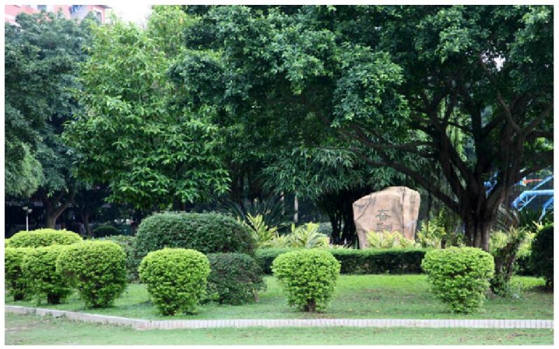 广州工程技术职业学院