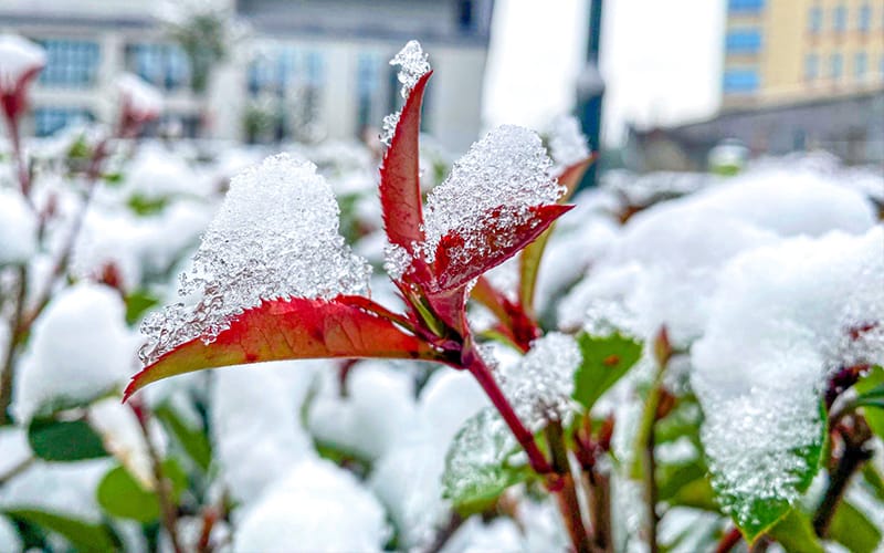 西昌民族幼儿师范高等专科学校
