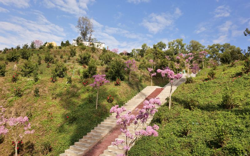 广东生态工程职业学院