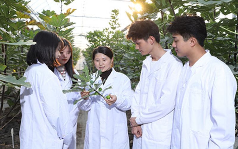 广东生态工程职业学院