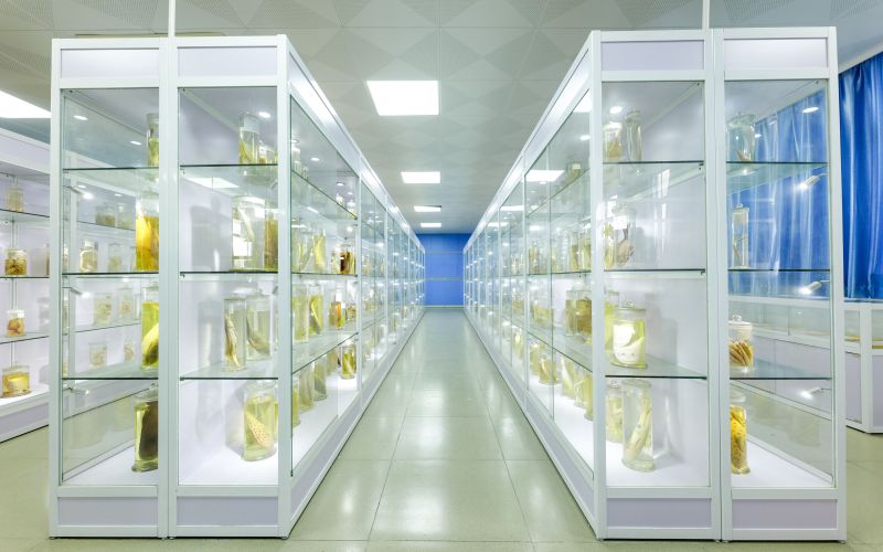 广东生态工程职业学院