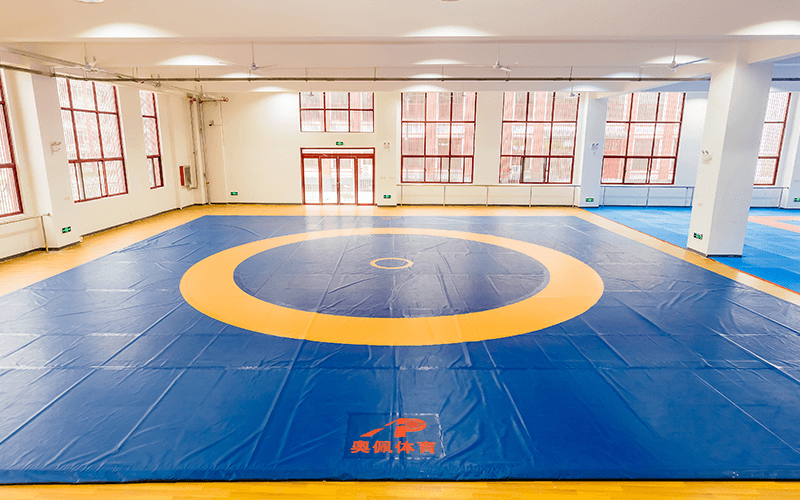 郑州体育职业学院