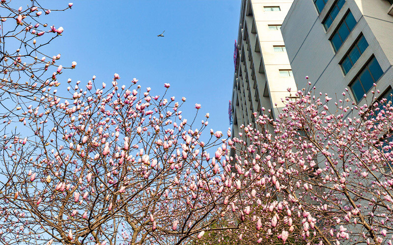 湖北城市建设职业技术学院