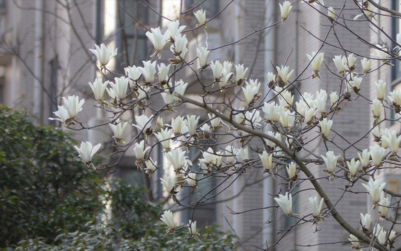 湖北城市建设职业技术学院