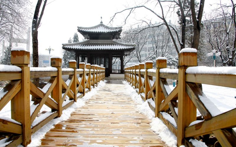 北京财贸职业学院