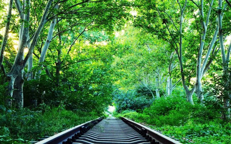 河北司法警官职业学院