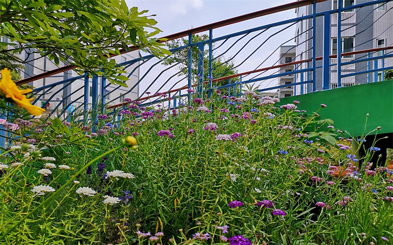 遵义职业技术学院