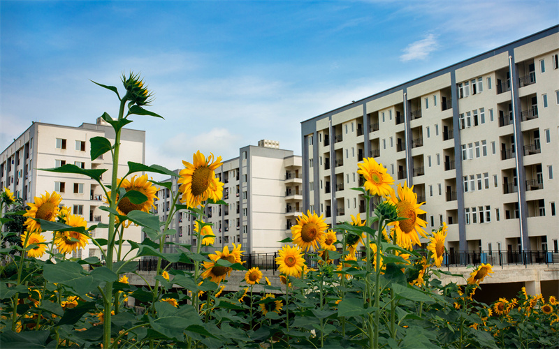 遵义职业技术学院