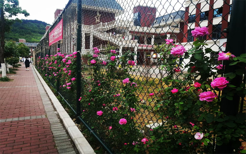 遵义医科大学医学与科技学院