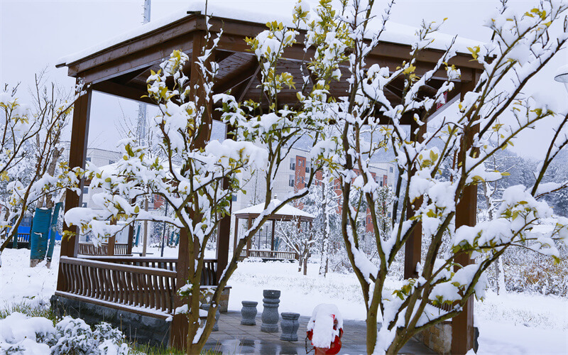 黔南民族幼儿师范高等专科学校