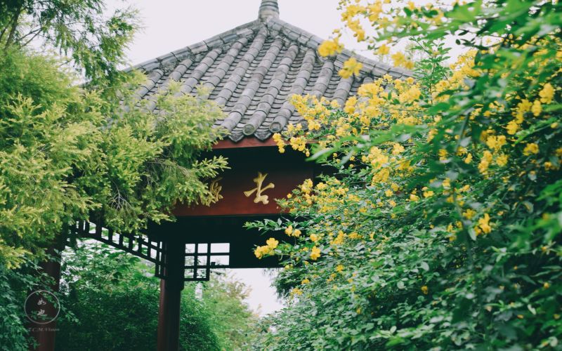 成都中医药大学