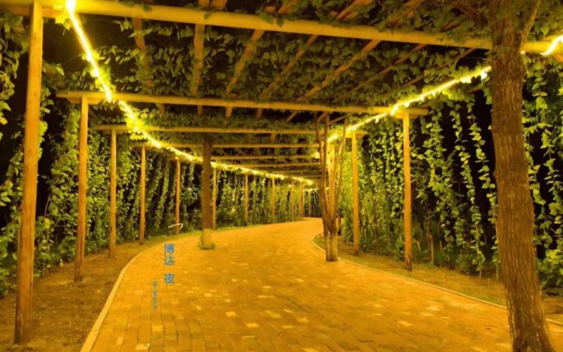 吉林师范大学博达学院