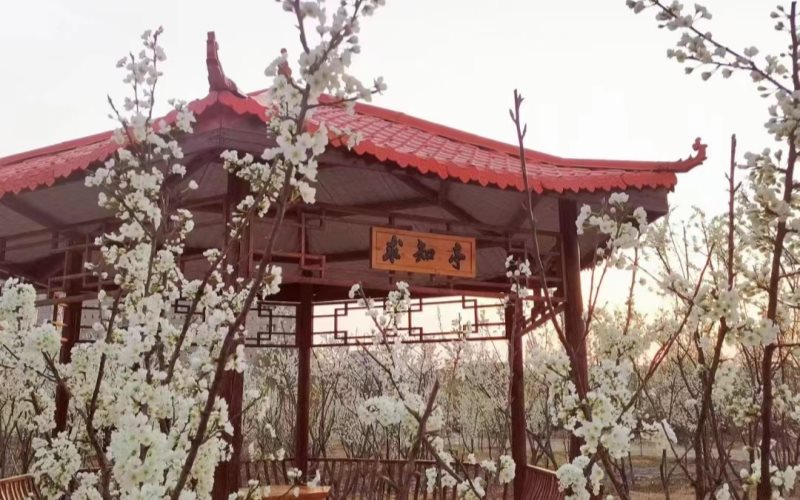 吉林师范大学博达学院