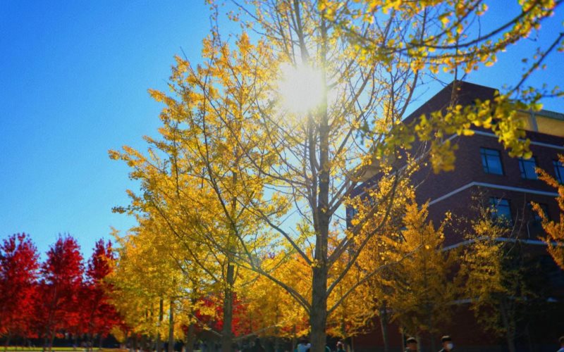 吉林科技职业技术学院