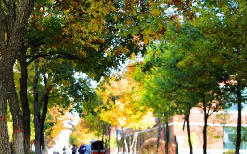 吉林科技职业技术学院