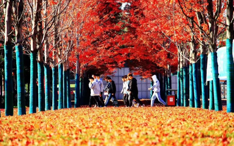 吉林科技职业技术学院