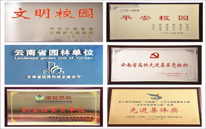 丽江文化旅游学院