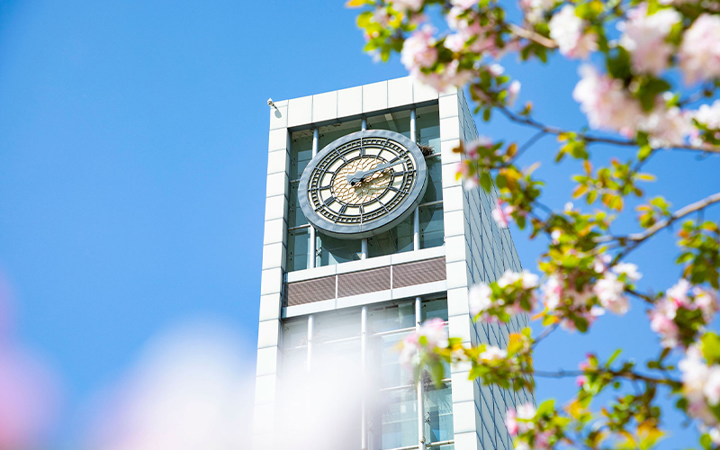 郑州城市职业学院