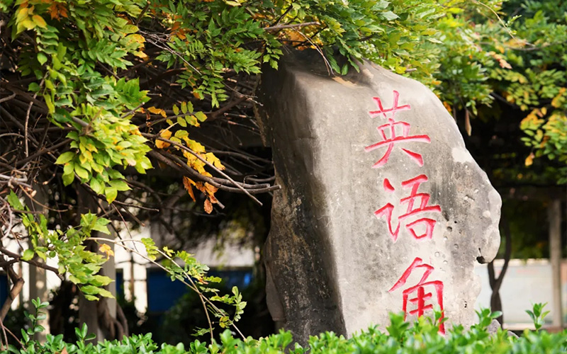 郑州澍青医学高等专科学校