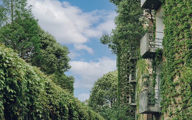 四川国际标榜职业学院