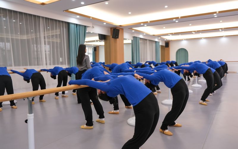 阜阳职业技术学院