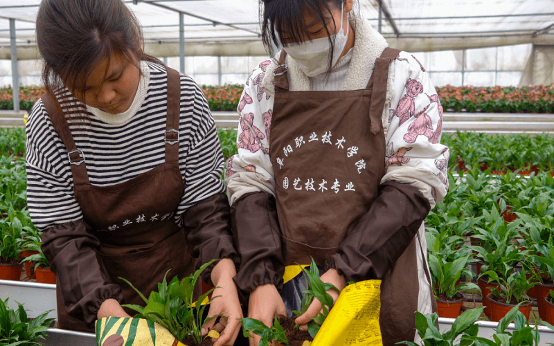 阜阳职业技术学院