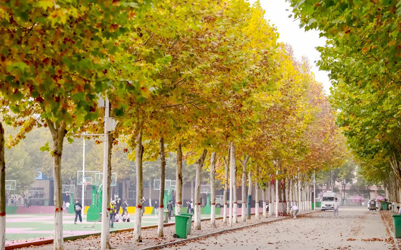 南阳农业职业学院