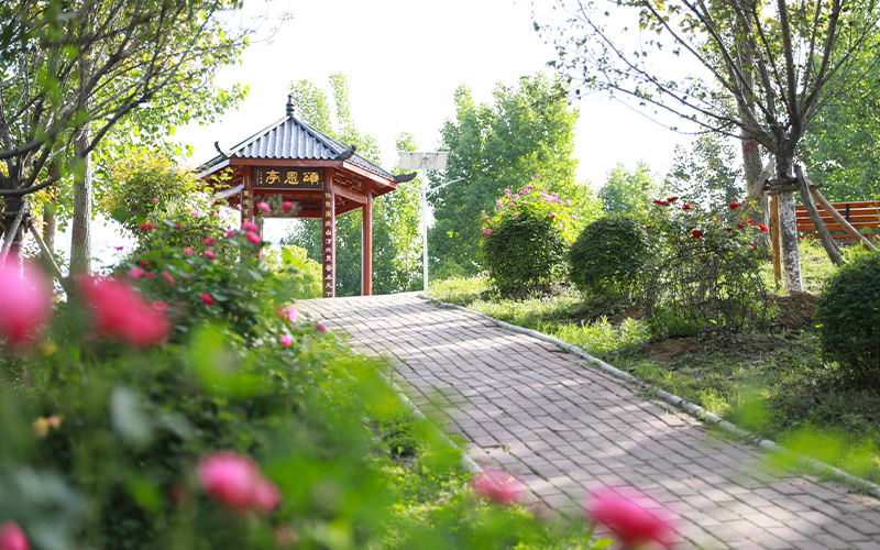 南阳农业职业学院