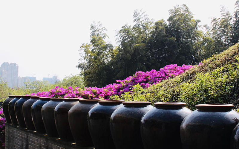 无锡工艺职业技术学院