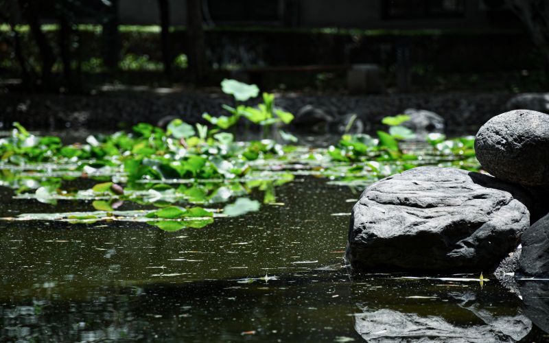 西安建筑科技大学