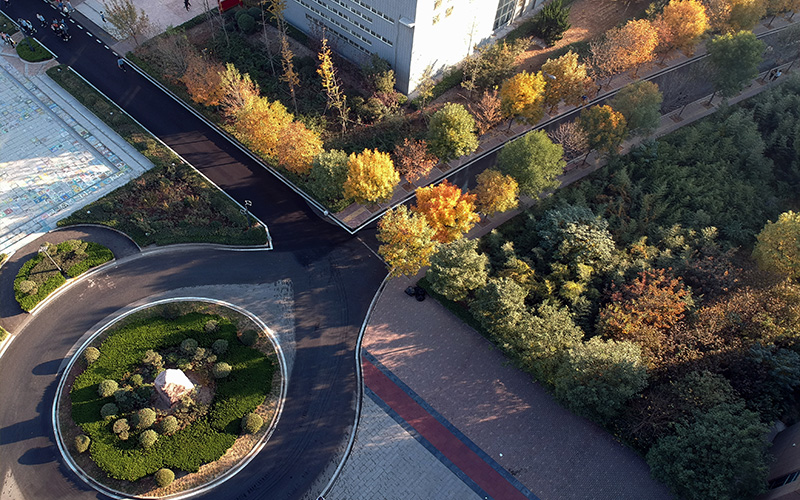 安阳幼儿师范高等专科学校