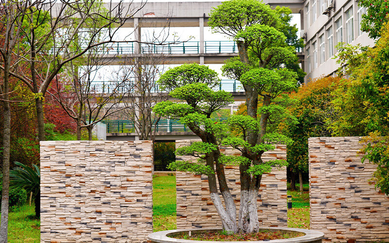 武汉软件工程职业学院