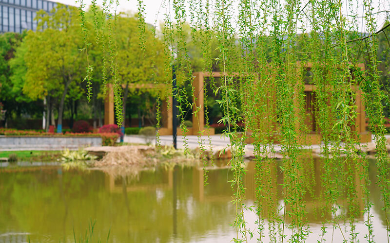 武汉软件工程职业学院