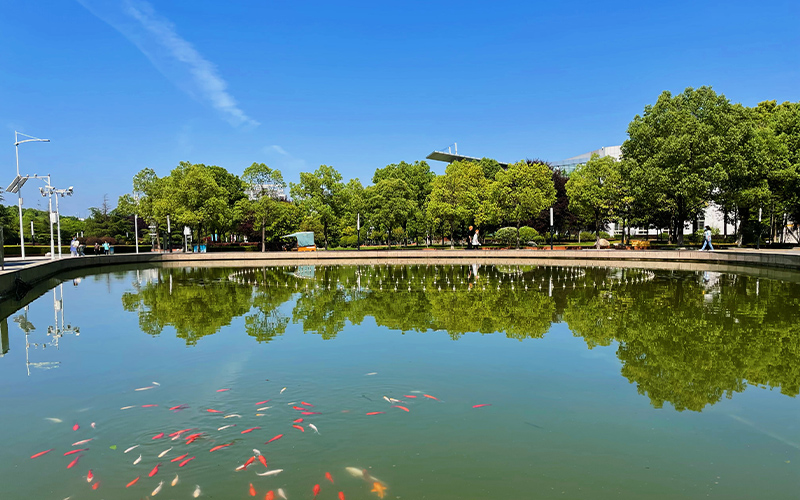 武汉软件工程职业学院