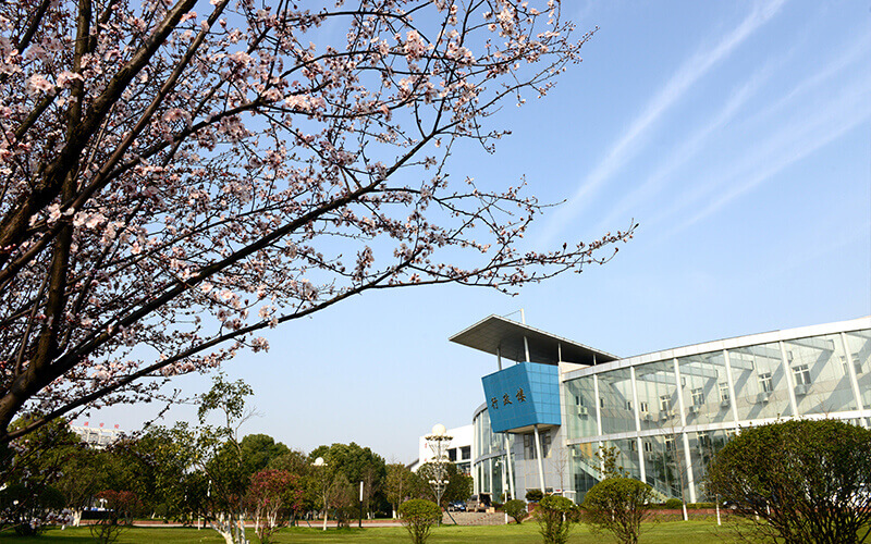 武汉软件工程职业学院