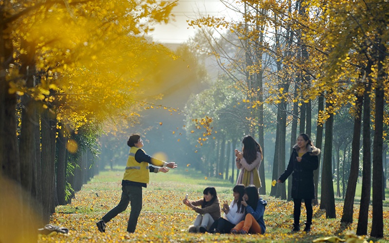 四川铁道职业学院