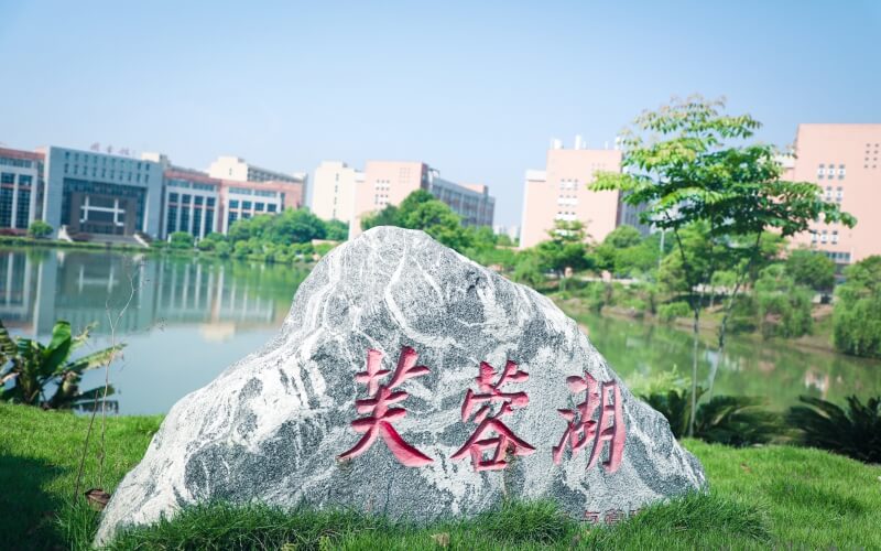 中南林业科技大学涉外学院