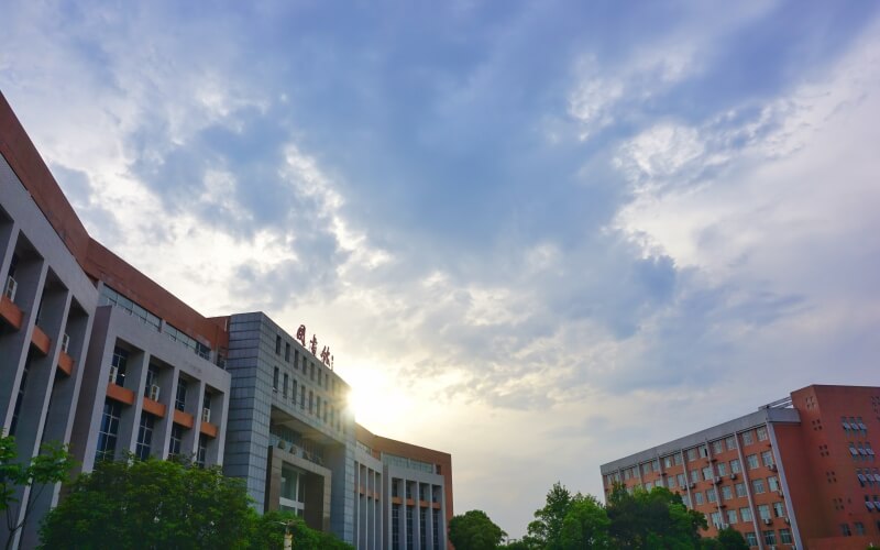 中南林业科技大学涉外学院