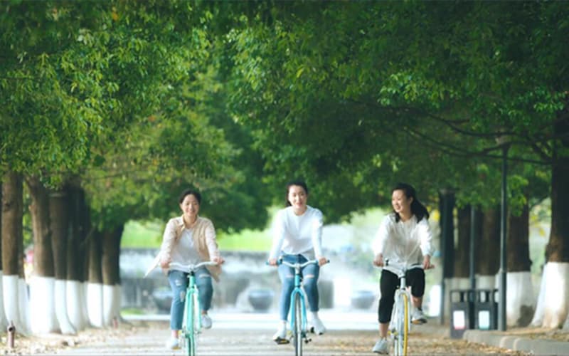 四川大学锦江学院